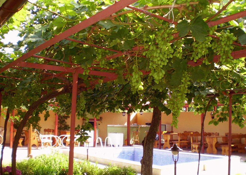 Guest House Yavorov 切尔诺莫雷茨 外观 照片